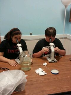 Diamond and Tim looking through microscopes in Biology 
