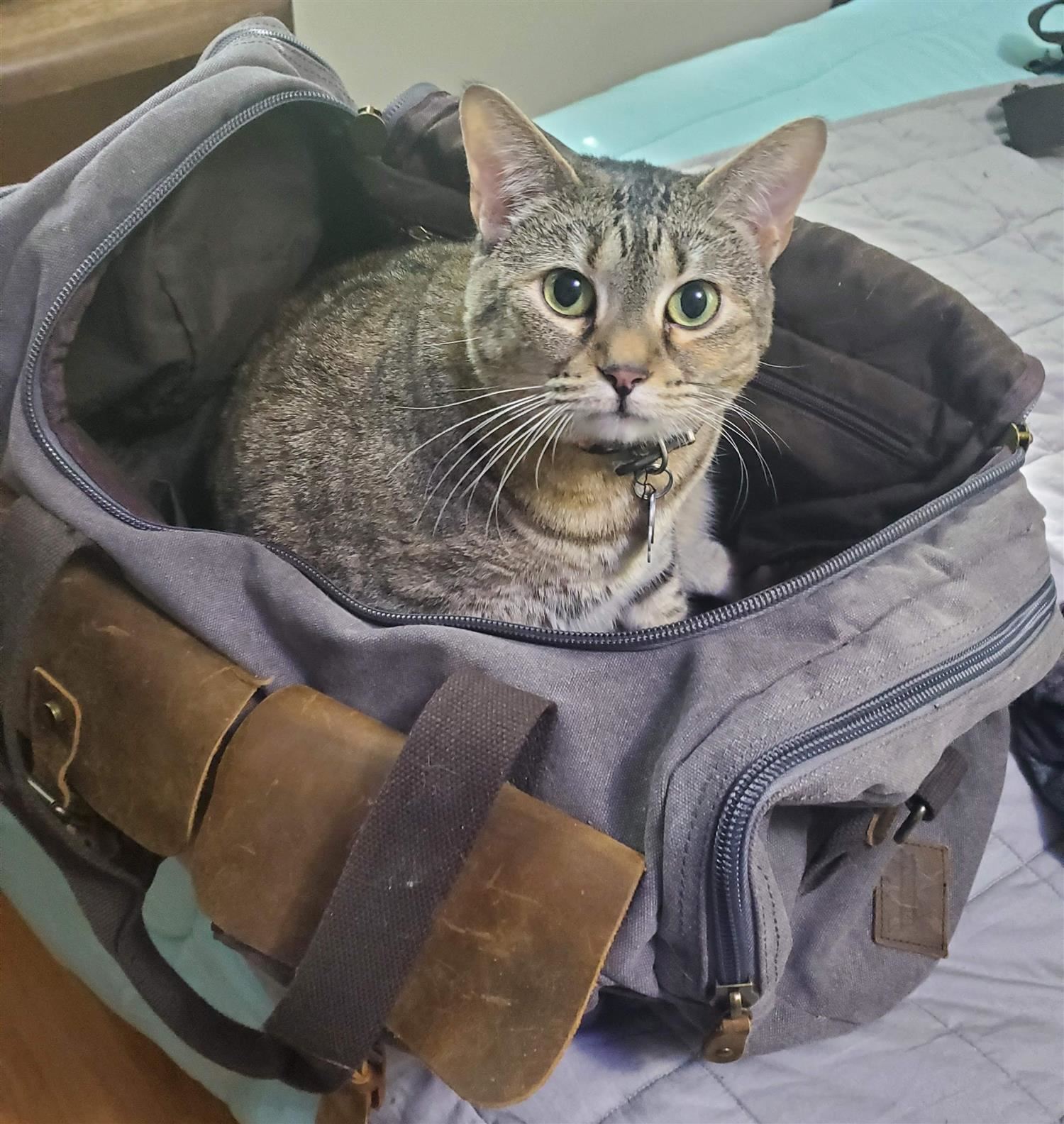 Luna