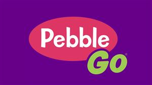 pebblego