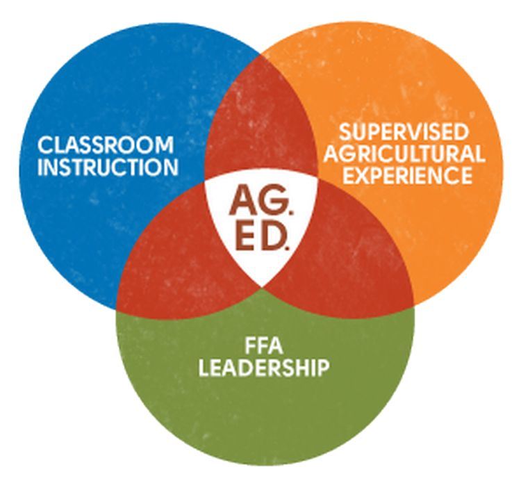 Classroom, FFA, SAE 