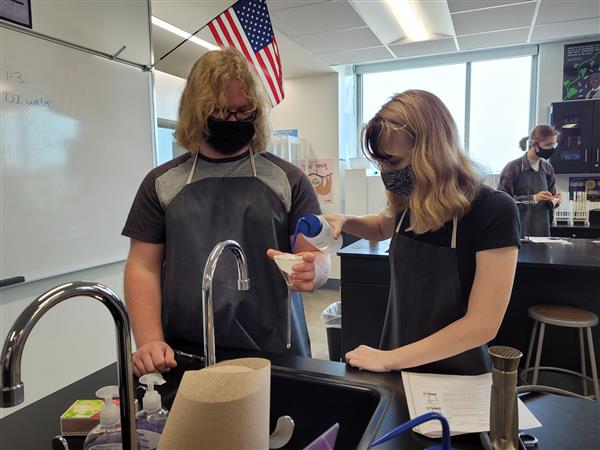 Filtration Lab