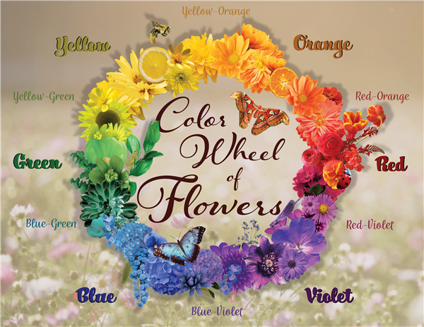 Photoshop / Color Theory