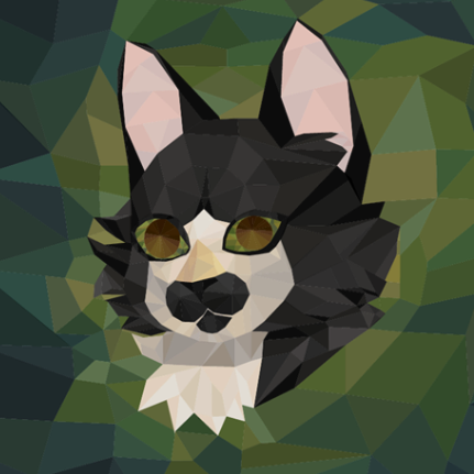 Digital Illustration